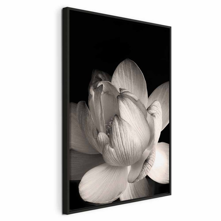 Tablou Intr-un cadru din lemn negru - Delicate Petals - 80 x 120 cm