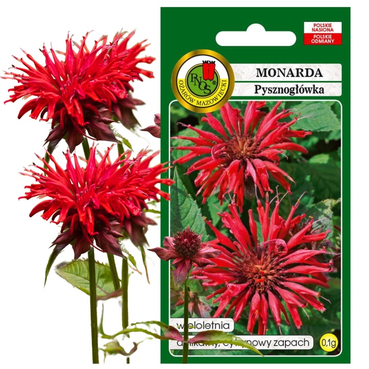 Seminte De Monarda Mix, Flori, Inflorire Viii Ix In Al Doilea An De Cultivare, Pozitie Soare Si Semiumbra, Inaltime 60 100 cm, Distanta 50 x 50 cm, 0.1 g, Multicolor, 1800 Seminte In Gram