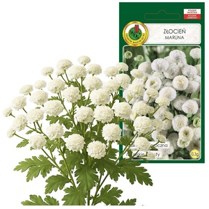 Bulbi, seminte si rasaduri