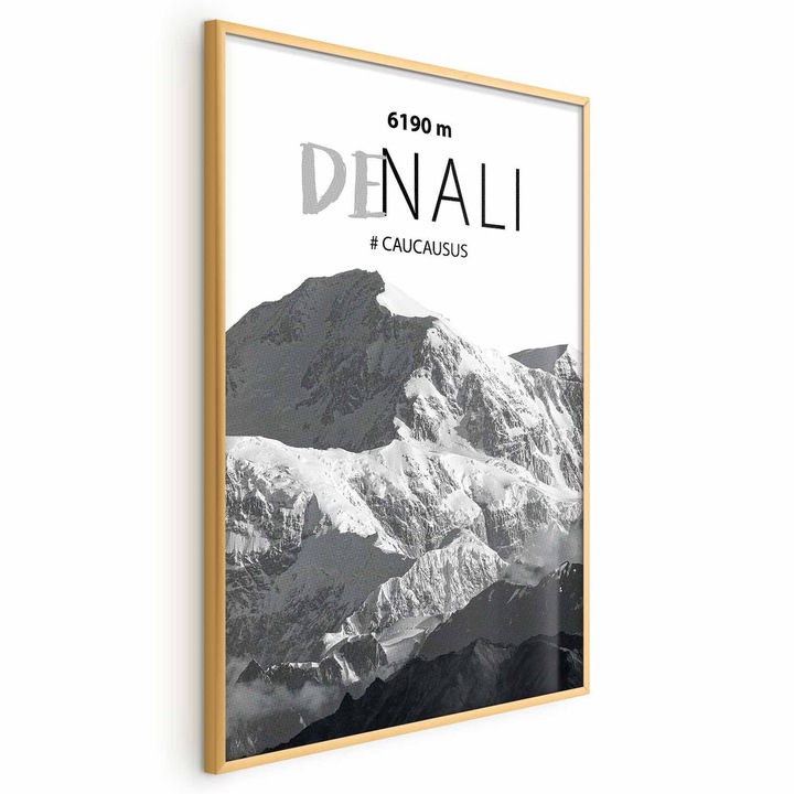 Poster Rama aurie - Denali Peak - 21 x 30 cm