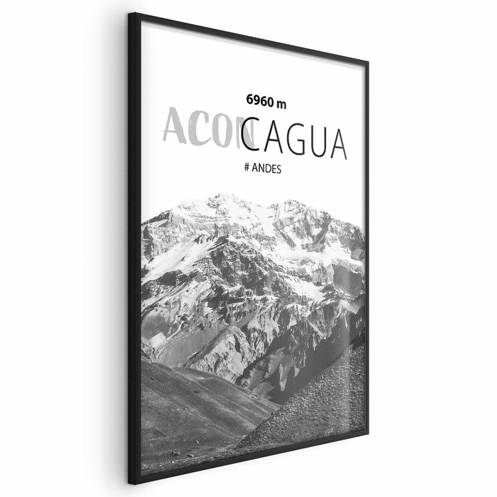 Poster Rama neagra - Aconcagua Peak - 21 x 30 cm