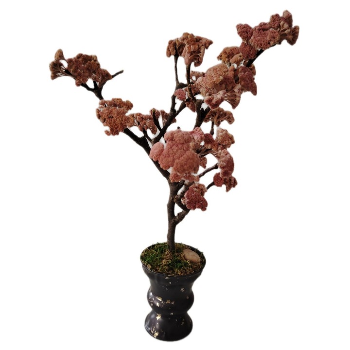 Bonsai decorativ din Achillea uscata, roz pudrat, dimensiune compacta, pentru interior