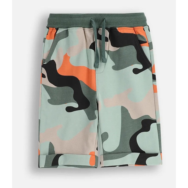 Coccodrillo, camuflaj, multicolor, Multicolor