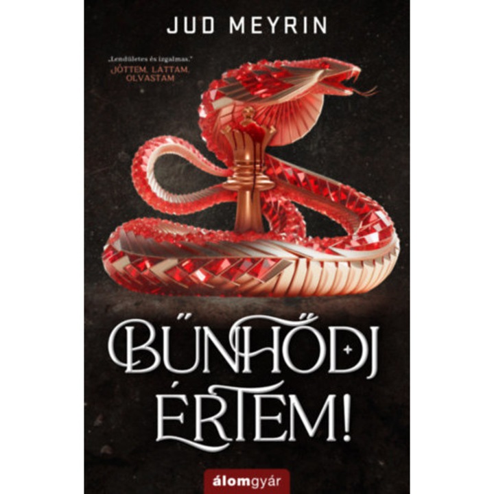Bűnhődj értem!, Jud Meyrin, Álomgyár Kiadó, editia 2025