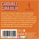Joc educativ, Seladin, Cardurile Curajului, pachet 30 carduri, Curajometru, 4-10 ani