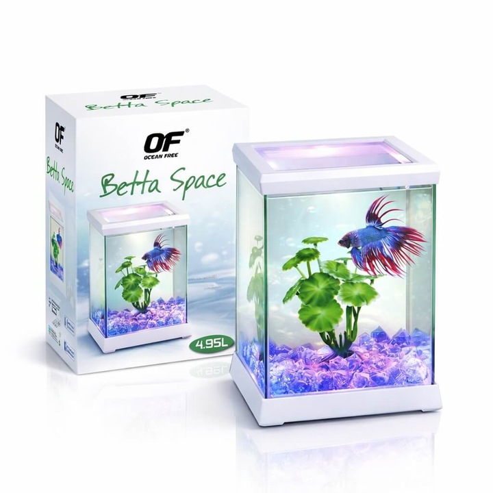 Acvariu pesti Betta Ocean Free (OF) Betta Space, acvariu pentru Betta tip cube, 4.95 L, 15.5 x 15.5 x 20.5 cm, sticla ultraclara, iluminare Dual-View-LED, alb, acvariu Betta modern, Betta acvariu compact