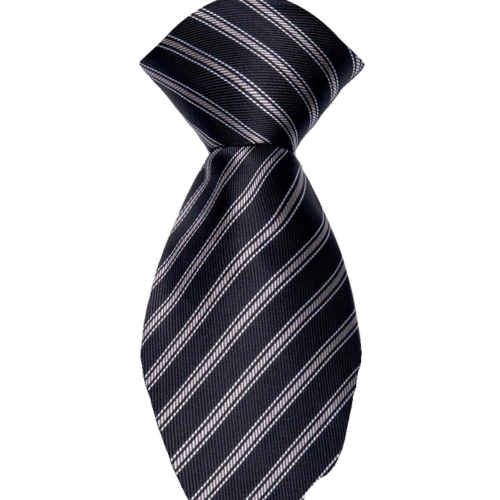 Set cravata si batista, material poliester, design elegant, 146x8cm, 25x25cm