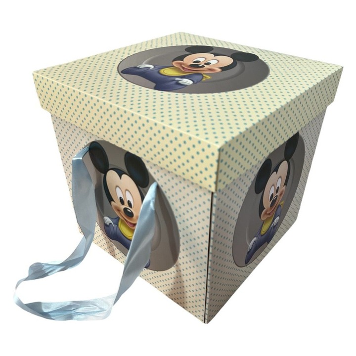 Cutie pentru transport trusou Baby Mickey, 29x29x29 cm, carton durabil, elegant, pentru băieți