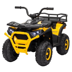 Masinute si vehicule pentru copii