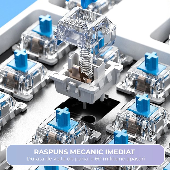 Klawiatura XQUANTUM WK300K