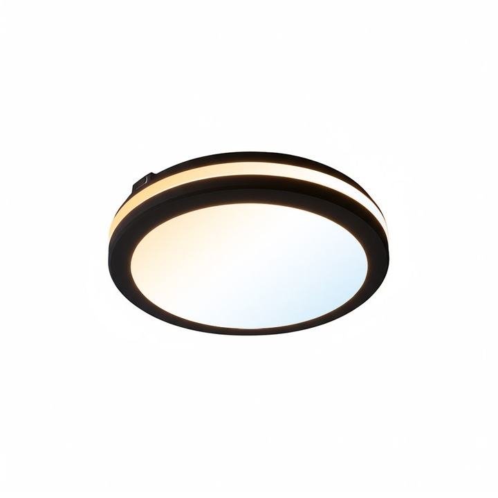 Plafon LED SCARLETT 30W 2700lm 3CCT IP65 rotund negru, HOROZ