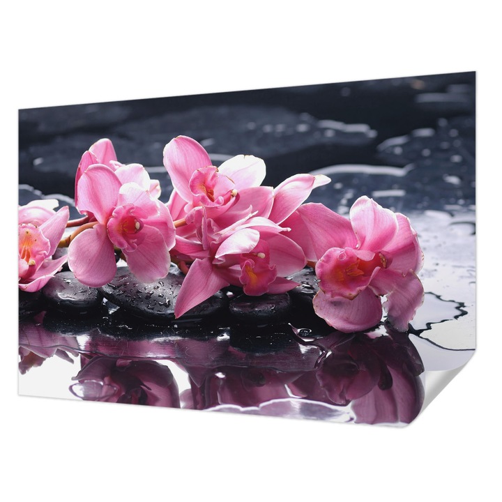 Öntapadós Tapéta Fali Dekoráció, Wallfluent, Virágos elegancia, Rózsaszín, 104 x 70 cm, Könnyen Tisztítható, Nedvességálló, 010170060170000000626