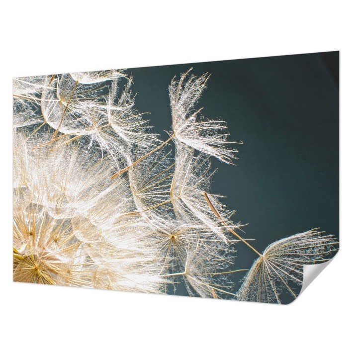 Öntapadós Fotótapéta Falra, Wallfluent, A könnyedség pitypangja, Fehér, 104 x 70 cm, Fali Dekoráció, Nedvesség- És Foltálló, 010170060170000001133