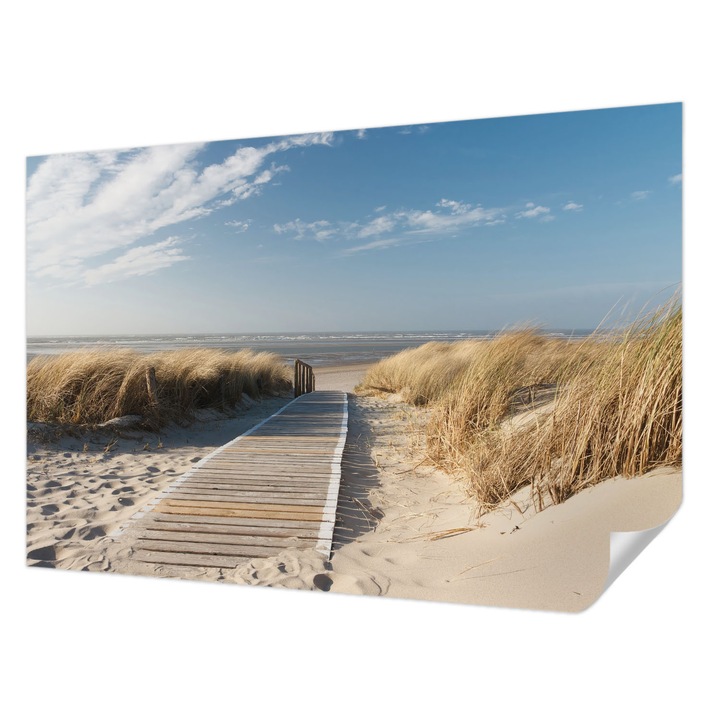 Öntapadós Tapéta Fali Dekoráció, Wallfluent, Tengeri ösvény, Kék, 104 x 70 cm, Dekoráció, Falra, 010170060170000000702