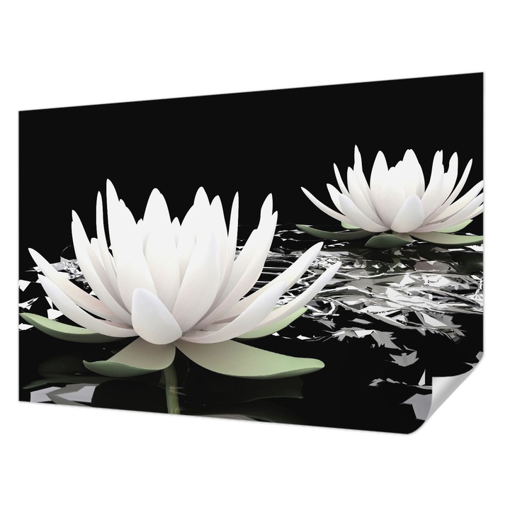 Öntapadós Tapéta Fali Dekoráció, Wallfluent, Vízi virágok, Fehér, 104 x 70 cm, Modern Dizájn, Könnyen Felszerelhető És Tisztítható, 010170060170000000696