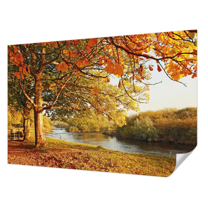 Tapet Autodeziv De Perete, Wallfluent, Toamna de coasta, Galben, 104 x 70 cm, Pentru Sufragerie, Dormitor, 010170060170000001146