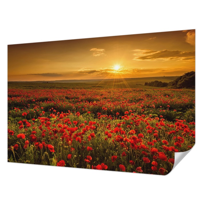 Öntapadós Tapéta Fali Dekoráció, Wallfluent, Pipacsmező, Piros, 104 x 70 cm, Könnyen Tisztítható, Nedvességálló, 010170060170000001789