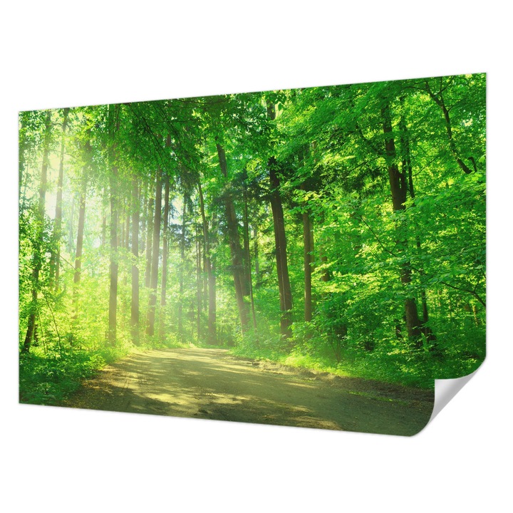 Tapet Autocolant De Perete, Wallfluent, Calea padurii, Verde, 104 x 70 cm, Pentru Interior, Usor De Curatat, 010170060170000001454