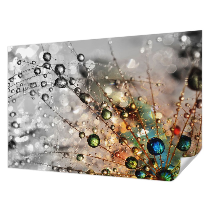 Öntapadós Dekor Tapéta, Wallfluent, Én harmat ékszereket, Fehér, 104 x 70 cm, Dekoráció, Falra, 010170060170000006195