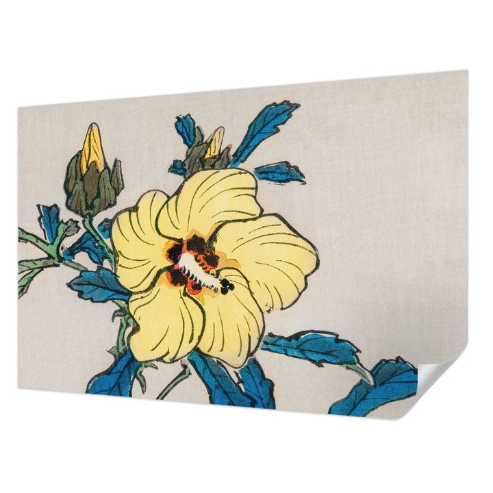 Öntapadós Fotótapéta Falra, Wallfluent, Sárga virág, Sárga, 104 x 70 cm, Erős Ragasztó, Modern Belsőépítészeti Dekoráció, 010170060170000017946