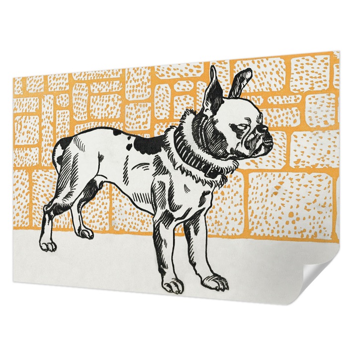 Öntapadós Tapéta Fali Dekoráció, Wallfluent, Retro kutya, Fehér, 104 x 70 cm, Modern Dizájn, Nedvesség- És Foltálló, 010170060170000031581