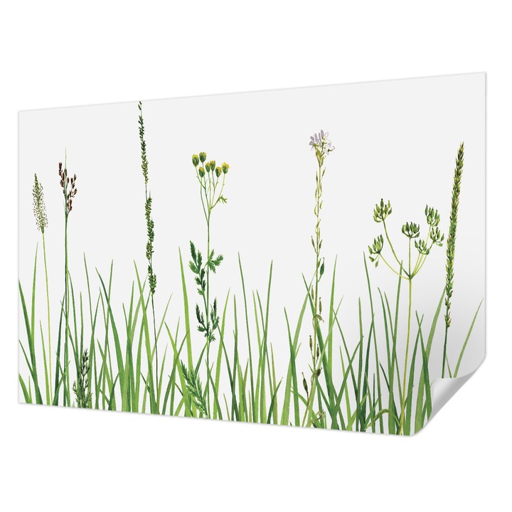 Öntapadós Dekor Tapéta, Wallfluent, Finom növényvilág, Zöld, 104 x 70 cm, Modern Dizájn, Könnyen Felszerelhető És Tisztítható, 010170060170000034953