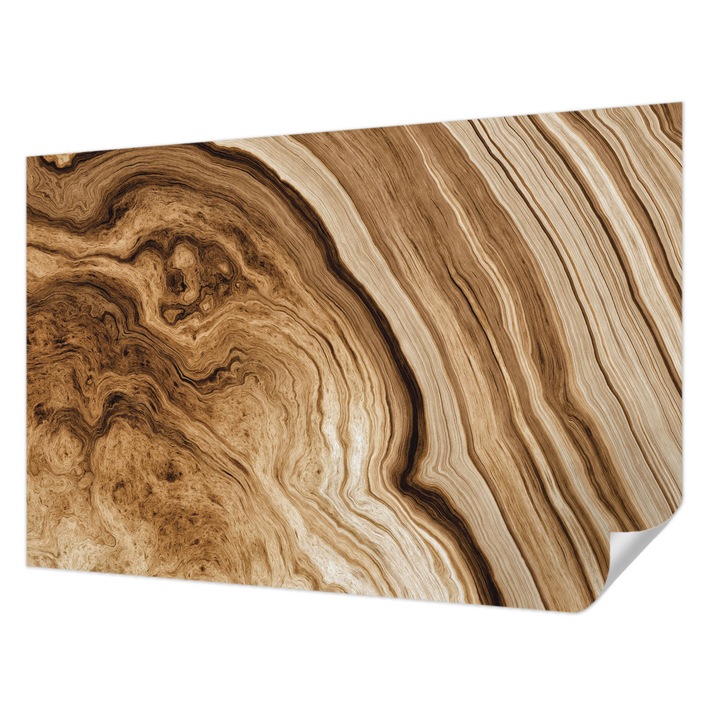 Öntapadós Tapéta Falra, Wallfluent, Faerezet, Barna, 104 x 70 cm, Dekoráció, Klasszikus, 010170060170000057133