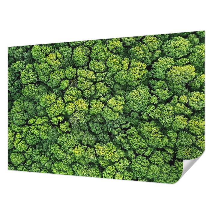 Tapet Autodeziv De Perete, Wallfluent, Panorama a padurii, Verde, 104 x 70 cm, Detasabil, Lavabil, 010170060170000088658