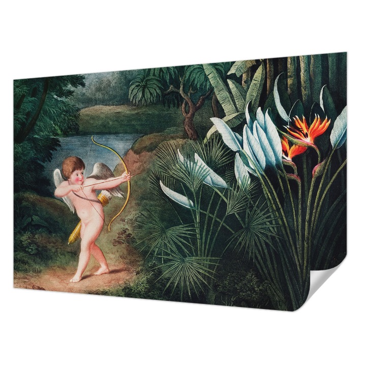 Öntapadós Fotótapéta Falra, Wallfluent, Imádnivaló Ámor, Zöld, 104 x 70 cm, Könnyen Tisztítható, Nedvességálló, 010170060170000282720