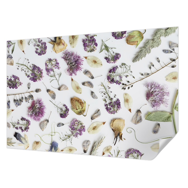 Öntapadós Dekor Tapéta, Wallfluent, Szárított virágok, Fehér, 104 x 70 cm, Előszobába, Hálószobába, 010170060170000282735