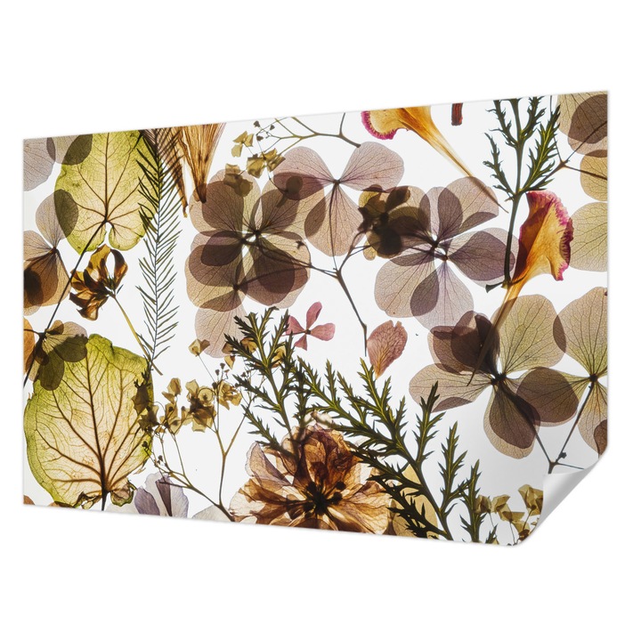 Öntapadós Fotótapéta Falra, Wallfluent, Természetes összetétel, Zöld, 104 x 70 cm, Erős Ragasztó, Modern Belsőépítészeti Dekoráció, 010170060170000282759