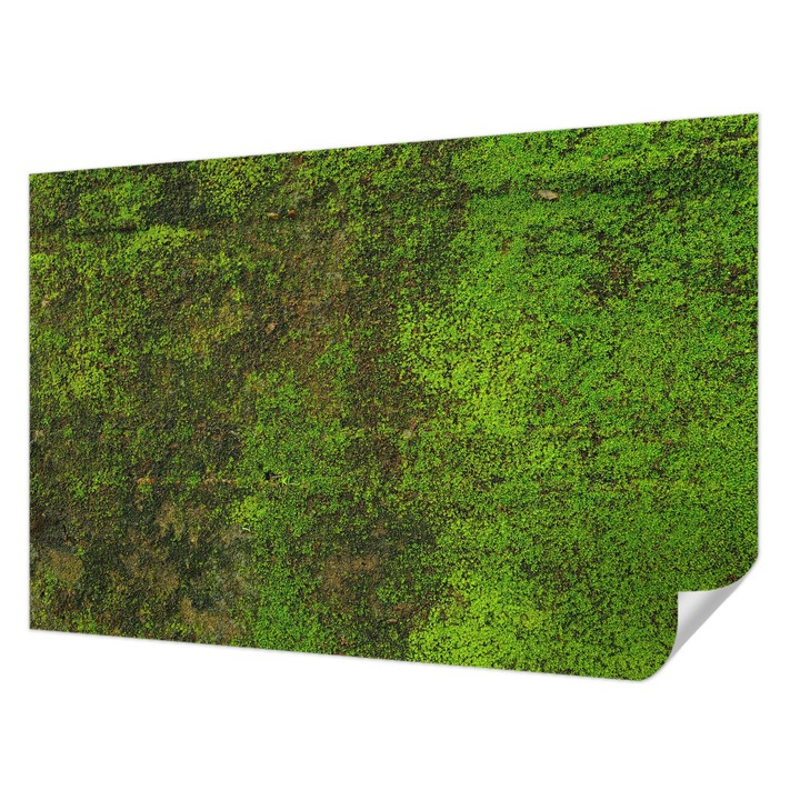 Öntapadós Fotótapéta Falra, Wallfluent, Zöld szőnyeg, Zöld, 104 x 70 cm, Fali Dekoráció, Nedvesség- És Foltálló, 010170060170000282897