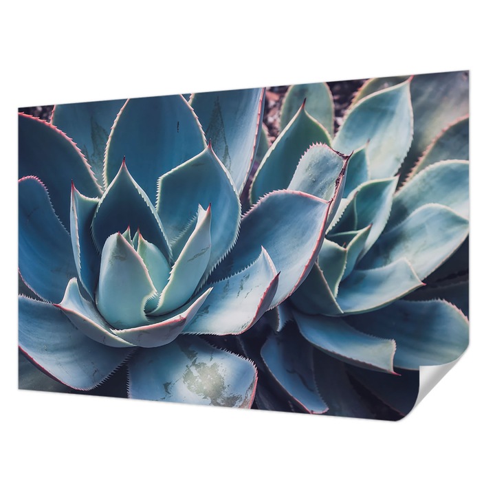 Öntapadós Tapéta Fali Dekoráció, Wallfluent, Zöld aloe vera, Kék, 104 x 70 cm, Dekoráció, Falra, 010170060170000284754