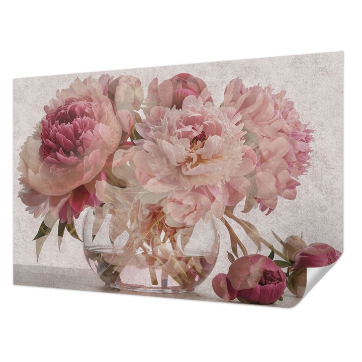 Öntapadós Fotótapéta Falra, Wallfluent, Bazsarózsa báj, Rózsaszín, 104 x 70 cm, Modern Dizájn, Könnyen Felszerelhető És Tisztítható, 010170060170000284799