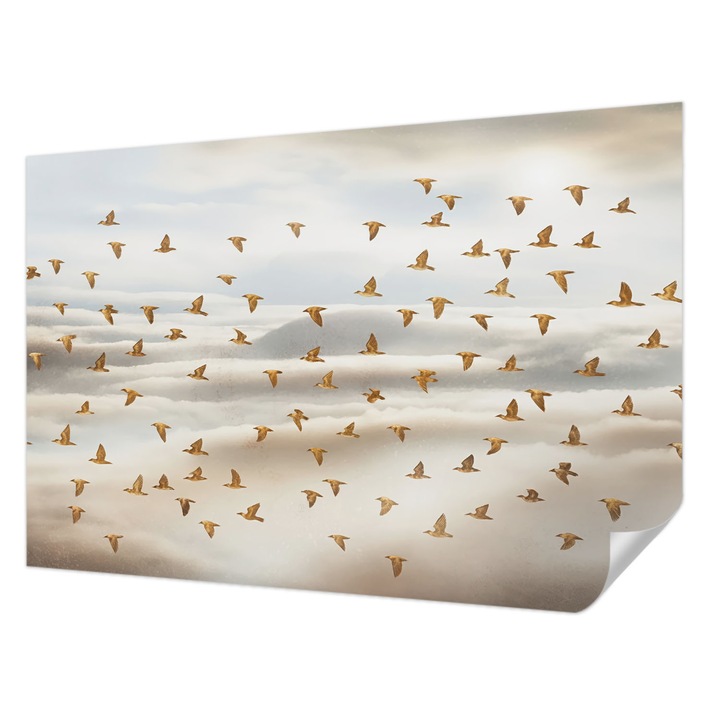 Öntapadós Fotótapéta Falra, Wallfluent, Madarak repülés közben, Bézs, 104 x 70 cm, Fali Dekoráció, Nedvesség- És Foltálló, 010170060170000284830