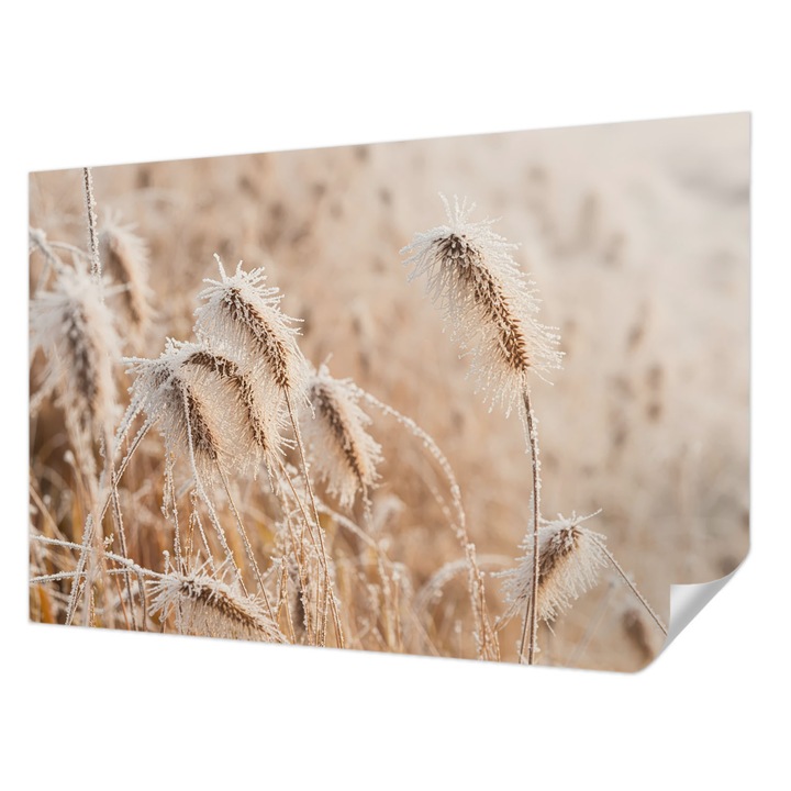 Öntapadós Tapéta Falra, Wallfluent, Téli táj, Fehér, 104 x 70 cm, Nappaliba, Konyhába, 010170060170000284895