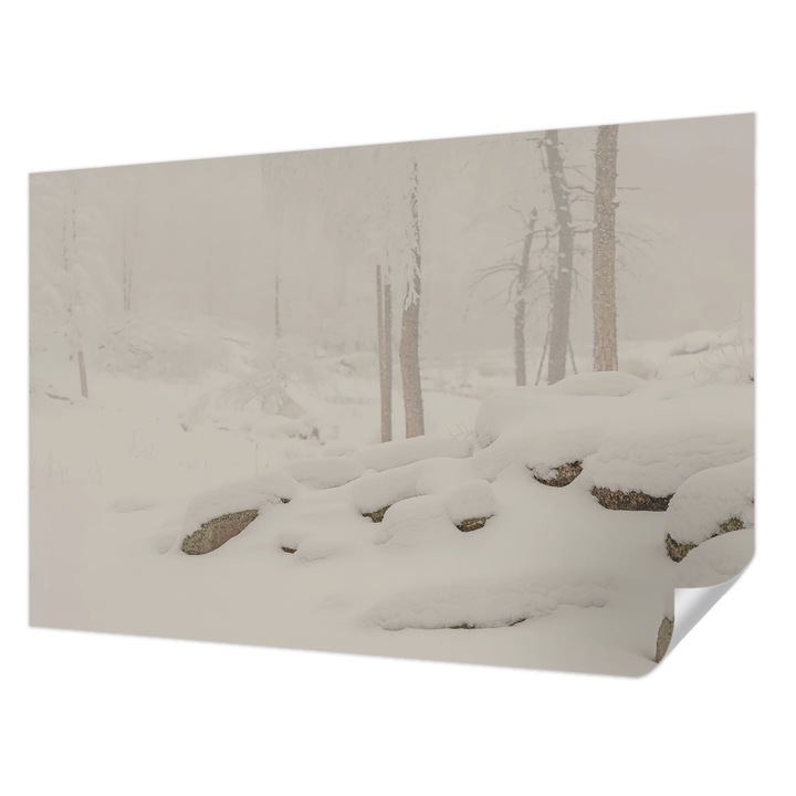Tapet Autocolant De Perete, Wallfluent, Padure inzapezita, Alb, 104 x 70 cm, Adeziv Puternic, Usor De Montat Si Rezistent, 010170060170000284961