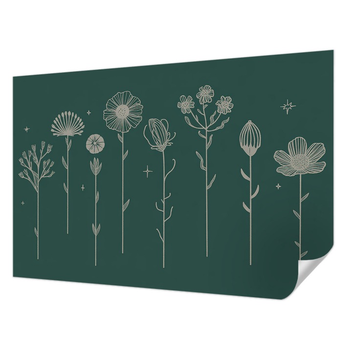 Öntapadós Fotótapéta Falra, Wallfluent, Finom virágok, Zöld, 104 x 70 cm, Fali Dekoráció, Nedvesség- És Foltálló, 010170060170000284987