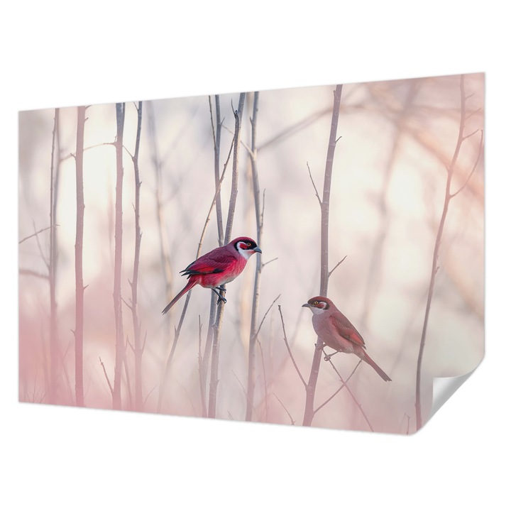 Öntapadós Tapéta Falra, Wallfluent, Madárpár, Rózsaszín, 104 x 70 cm, Fali Dekoráció, Nedvesség- És Foltálló, 010170060170000285047