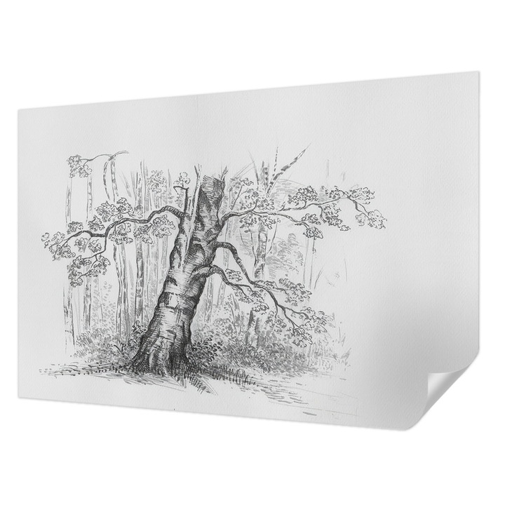 Öntapadós Tapéta Falra, Wallfluent, Erdei fa, Fekete és fehér, 104 x 70 cm, Klasszikus, Könnyen Felszerelhető, 010170060170000285048