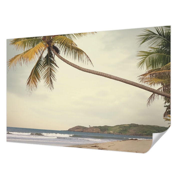 Öntapadós Dekor Tapéta, Wallfluent, Trópusi táj, Fehér, 104 x 70 cm, Előszobába, Hálószobába, 010170060170000285102