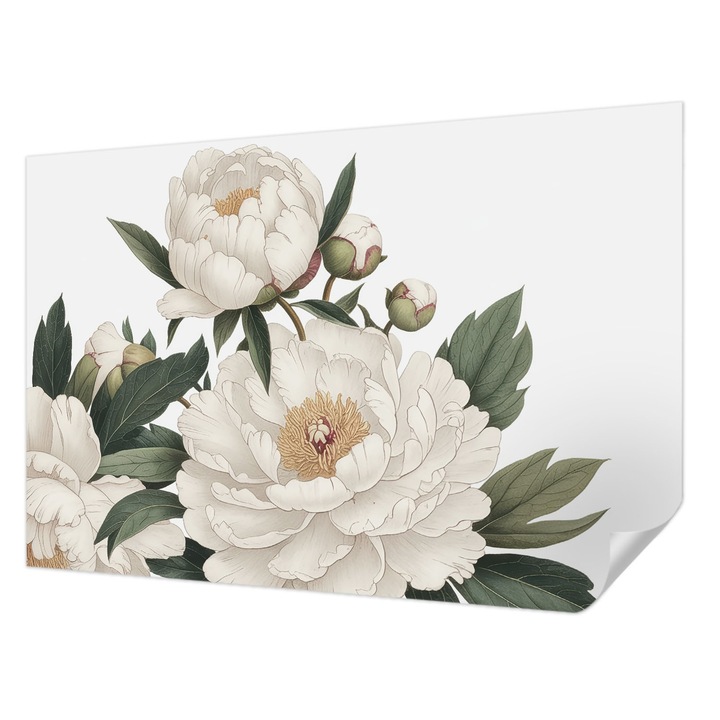 Öntapadós Tapéta Fali Dekoráció, Wallfluent, Fehér pünkösdi rózsák, Fehér, 104 x 70 cm, Modern Dizájn, Könnyen Felszerelhető És Tisztítható, 010170060170000285173