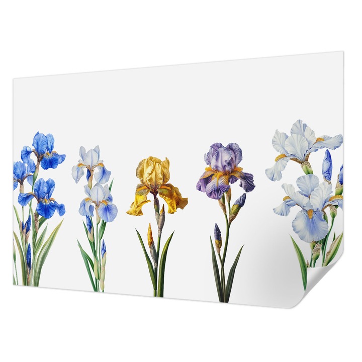 Öntapadós Tapéta Fali Dekoráció, Wallfluent, Írisz virágok, Kék, 104 x 70 cm, Modern Dizájn, Nedvesség- És Foltálló, 010170060170000285205