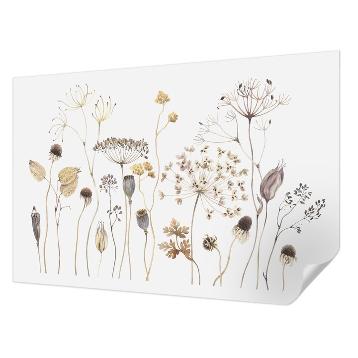 Öntapadós Fotótapéta Falra, Wallfluent, Vadvirágok, Bézs, 104 x 70 cm, Klasszikus, Könnyen Felszerelhető, 010170060170000285223