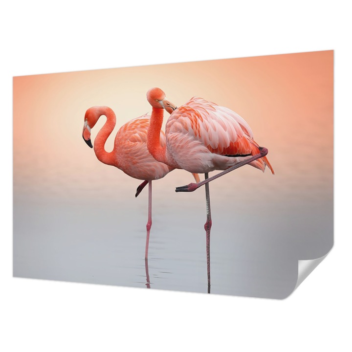 Öntapadós Dekor Tapéta, Wallfluent, Finom flamingók, Narancssárga, 104 x 70 cm, Modern Dizájn, Könnyen Felszerelhető És Tisztítható, 010170060170000284875