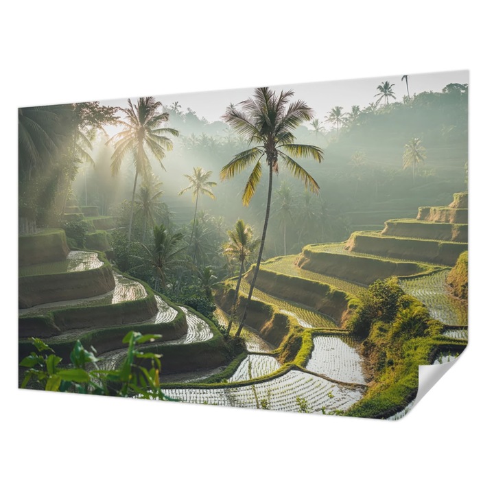 Öntapadós Tapéta Falra, Wallfluent, Paradicsomi teraszok, Zöld, 104 x 70 cm, Könnyen Tisztítható, Nedvességálló, 010170060170000284915