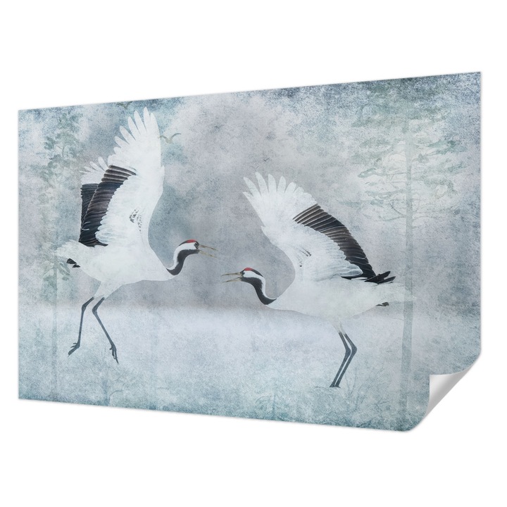 Öntapadós Fotótapéta Falra, Wallfluent, Harmonikus daruk, Fehér, 104 x 70 cm, Nappaliba, Konyhába, 010170060170000284927