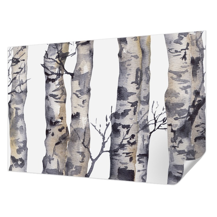 Öntapadós Tapéta Fali Dekoráció, Wallfluent, nyárfaerdő, Szürke, 104 x 70 cm, Előszobába, Hálószobába, 010170060170000285261