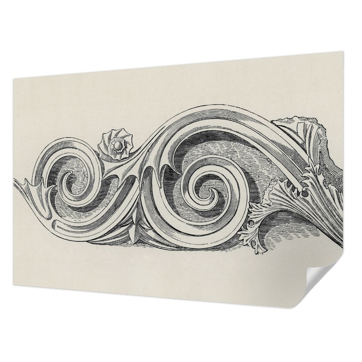 Öntapadós Tapéta Falra, Wallfluent, Növényi dísz, Fekete és fehér, 104 x 70 cm, Fali Dekoráció, Nedvesség- És Foltálló, 010170060170000285264