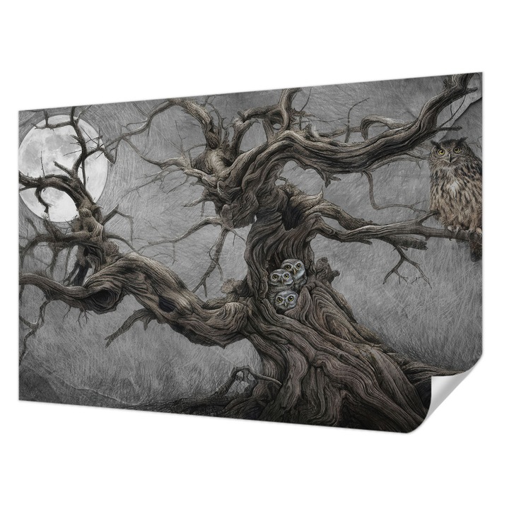 Öntapadós Tapéta Fali Dekoráció, Wallfluent, Titokzatos bagoly, Szürke, 104 x 70 cm, Könnyen Tisztítható, Nedvességálló, 010170060170000285287